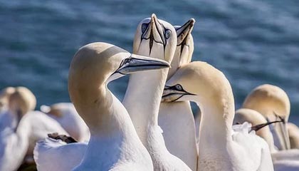 揭秘真相：小红书24小时免费下单服务靠谱吗？